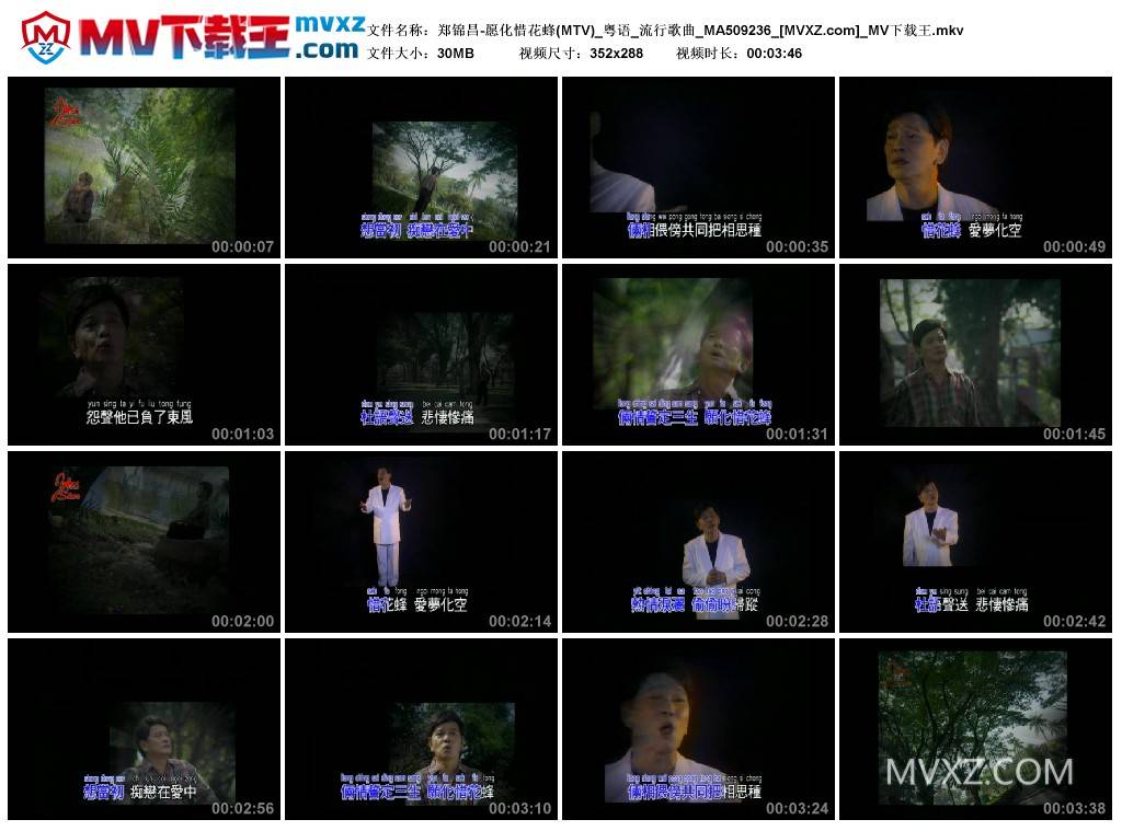 郑锦昌-愿化惜花蜂(MTV)_粤语_流行歌曲_MA509236